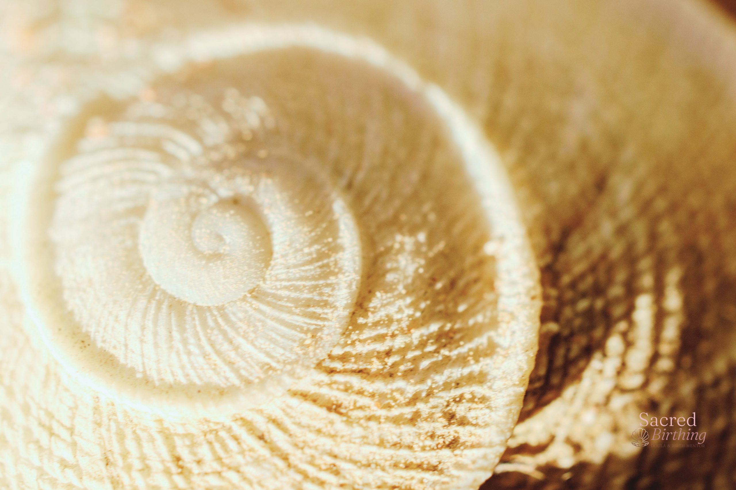 Spirit Baby Communication and Fertility